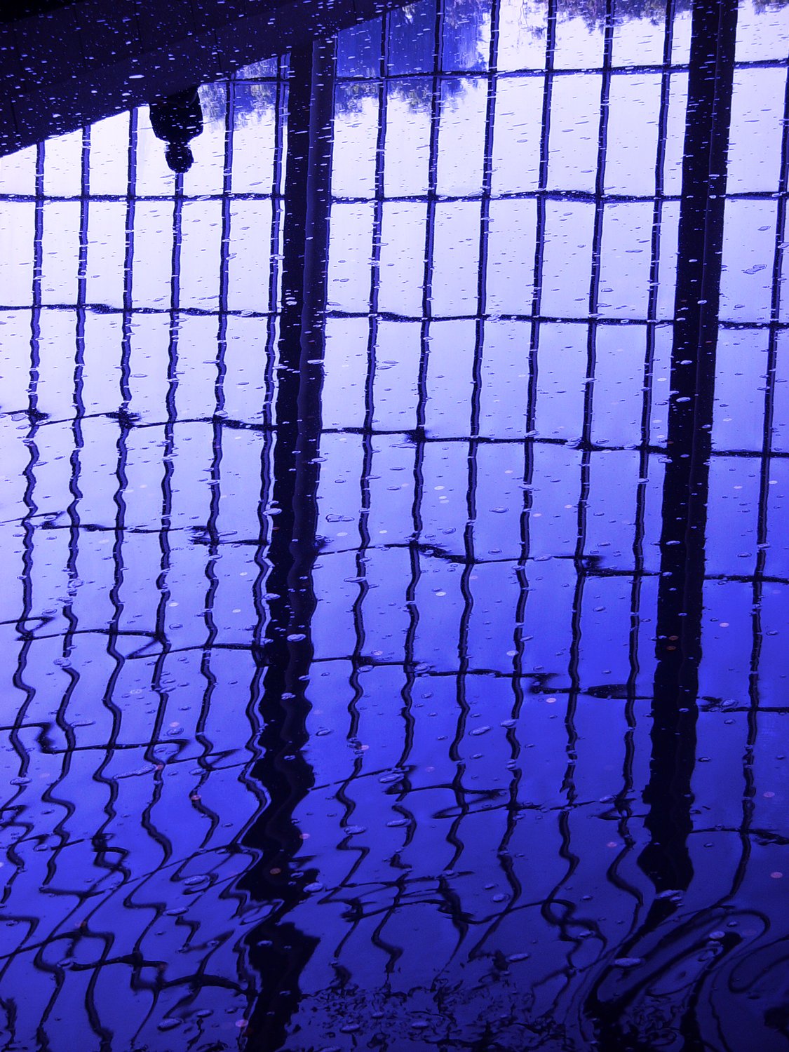  - In the blue pool - Techno-Impressionist Museum - Techno-Impressionism - art - beautiful - photo photography picture - by Tony Karp