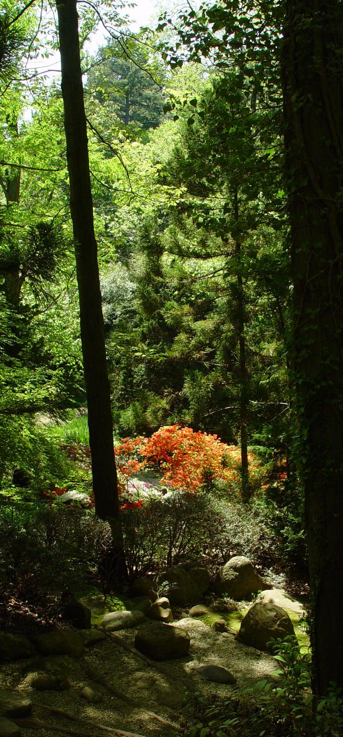  - In the stroll garden - #2 - Techno-Impressionist Museum - Techno-Impressionism - art - beautiful - photo photography picture - by Tony Karp