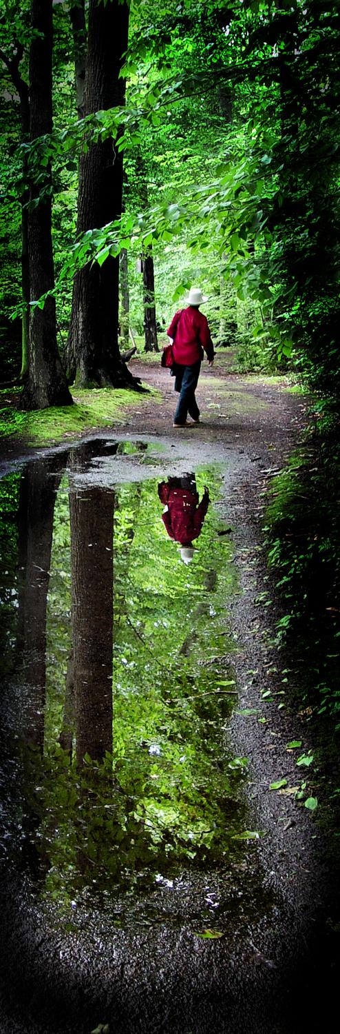  - Into the woods - #1 - Techno-Impressionist Museum - Techno-Impressionism - art - beautiful - photo photography picture - by Tony Karp