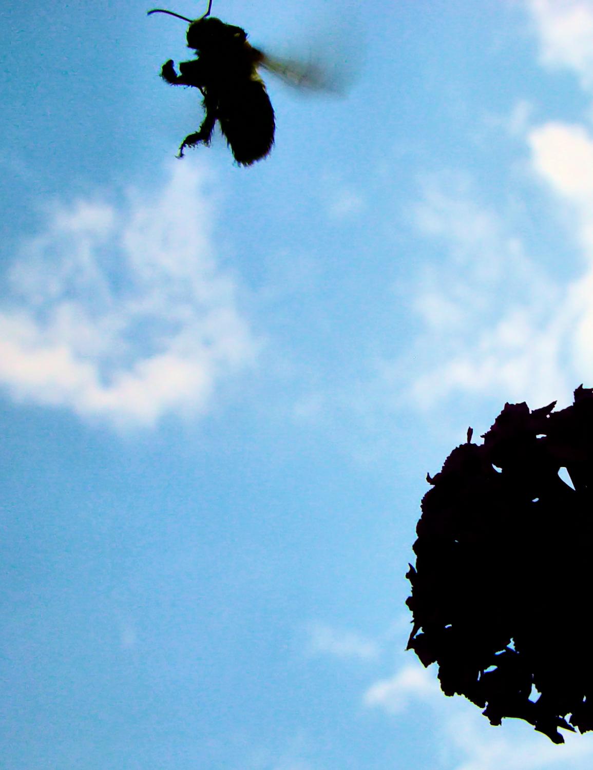  - Believing - Techno-Impressionist Museum - Techno-Impressionism - art - beautiful - photo photography picture - by Tony Karp