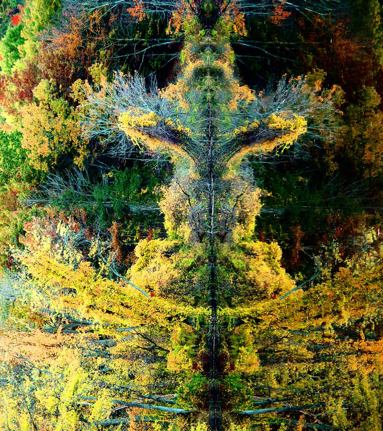  - The spirit of autumn - Techno-Impressionist Museum - Techno-Impressionism - art - beautiful - photo photography picture - by Tony Karp