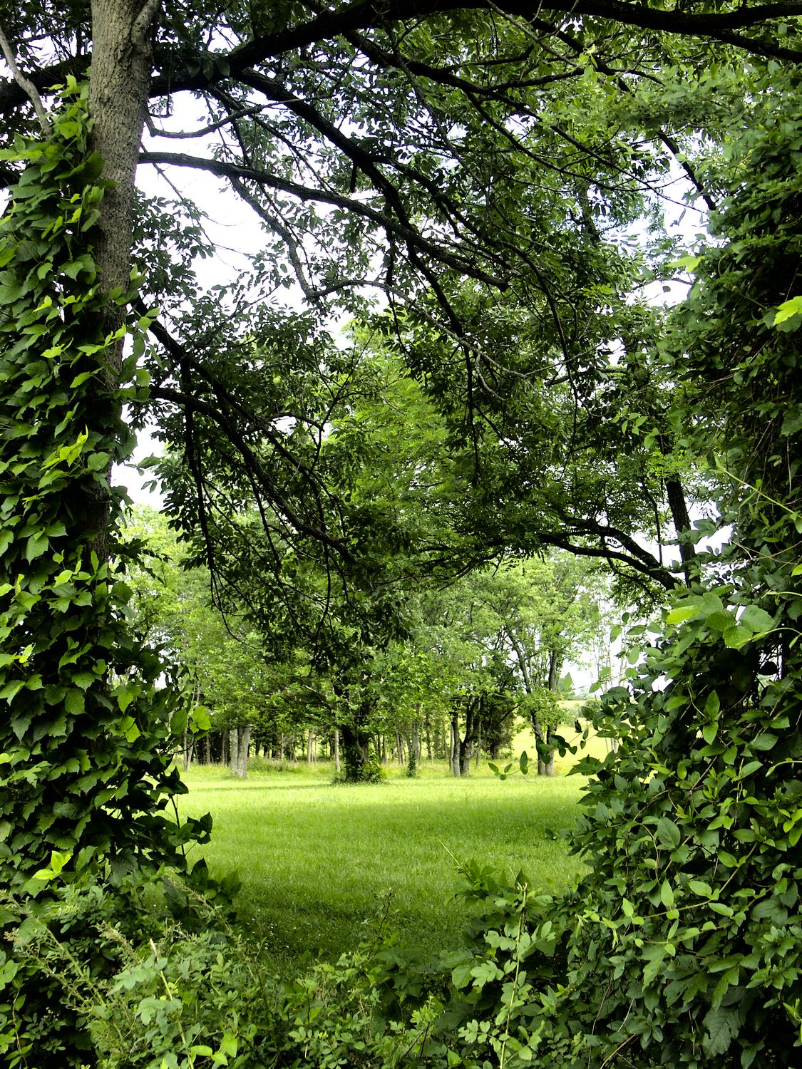  - A peaceful place - Techno-Impressionist Museum - Techno-Impressionism - art - beautiful - photo photography picture - by Tony Karp