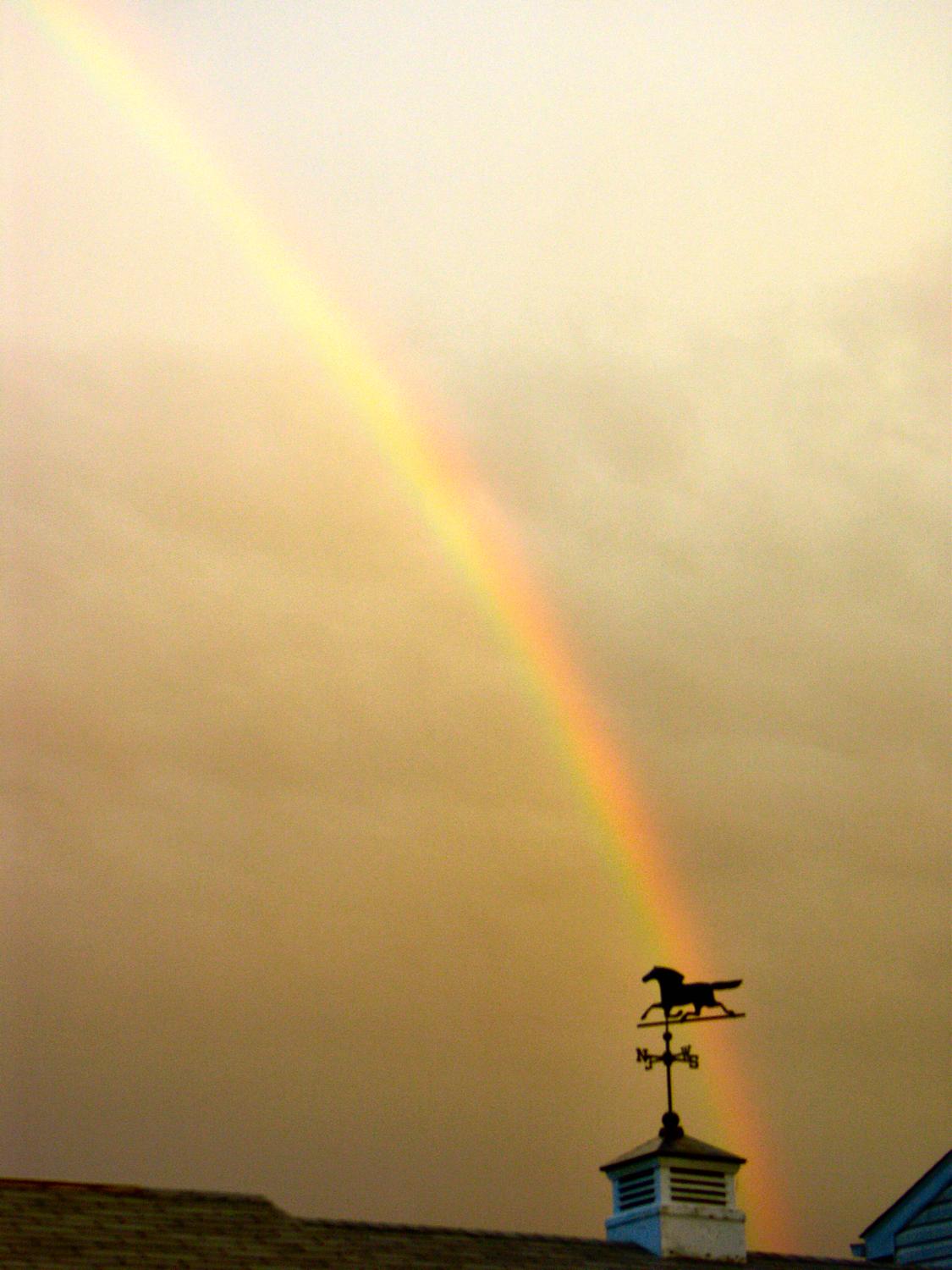  - Horse over my head - #2 - Techno-Impressionist Museum - Techno-Impressionism - art - beautiful - photo photography picture - by Tony Karp