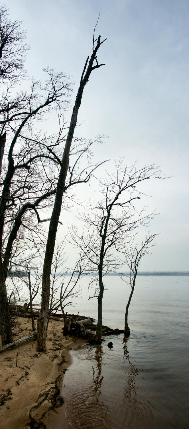  - At Mason Neck - #2 - Techno-Impressionist Museum - Techno-Impressionism - art - beautiful - photo photography picture - by Tony Karp