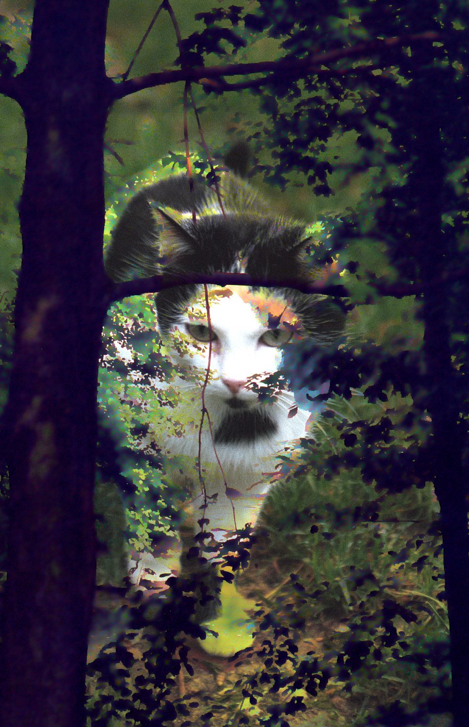  - Fantasy cat - Techno-Impressionist Museum - Techno-Impressionism - art - beautiful - photo photography picture - by Tony Karp