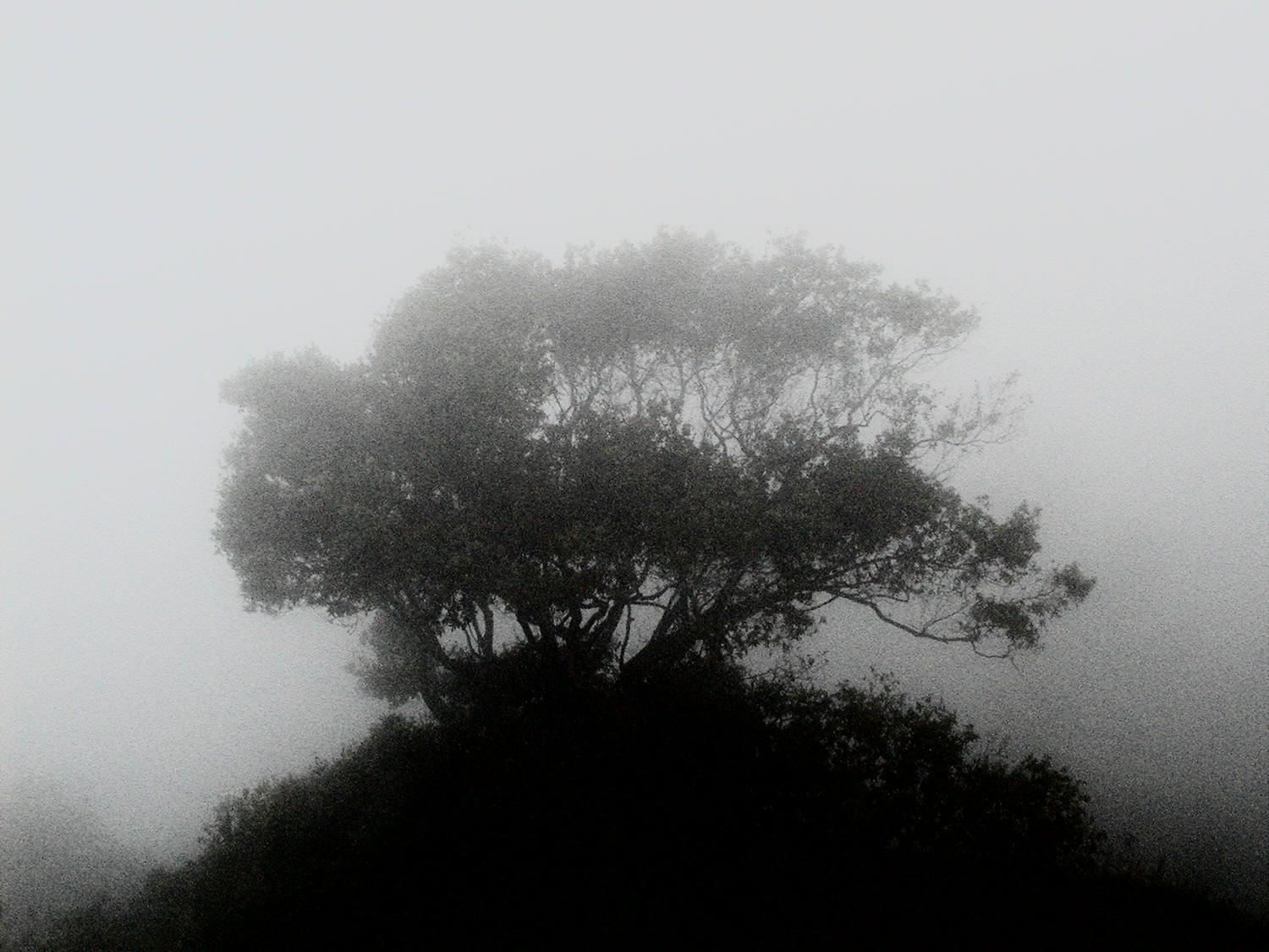  - Monterey fog - Techno-Impressionist Museum - Techno-Impressionism - art - beautiful - photo photography picture - by Tony Karp