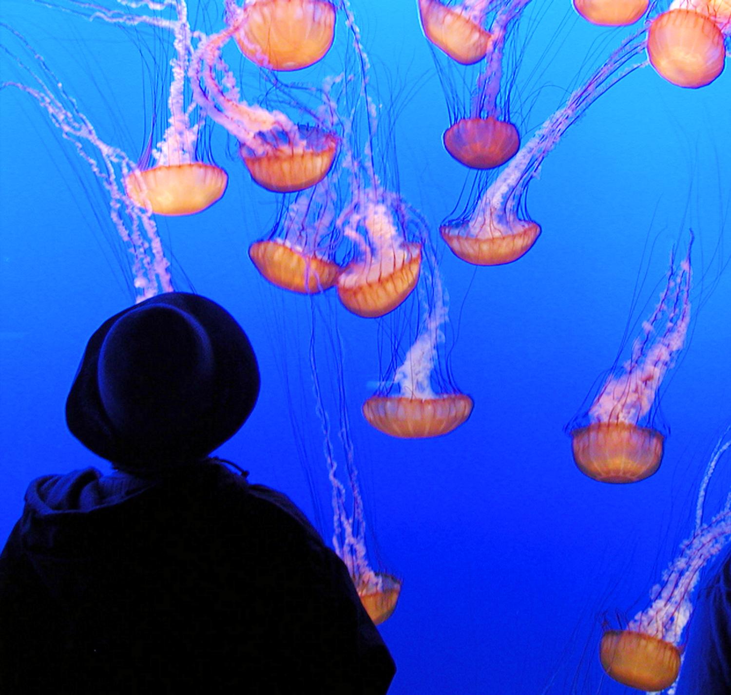  - Hobbitt and the jellyfish - Techno-Impressionist Museum - Techno-Impressionism - art - beautiful - photo photography picture - by Tony Karp