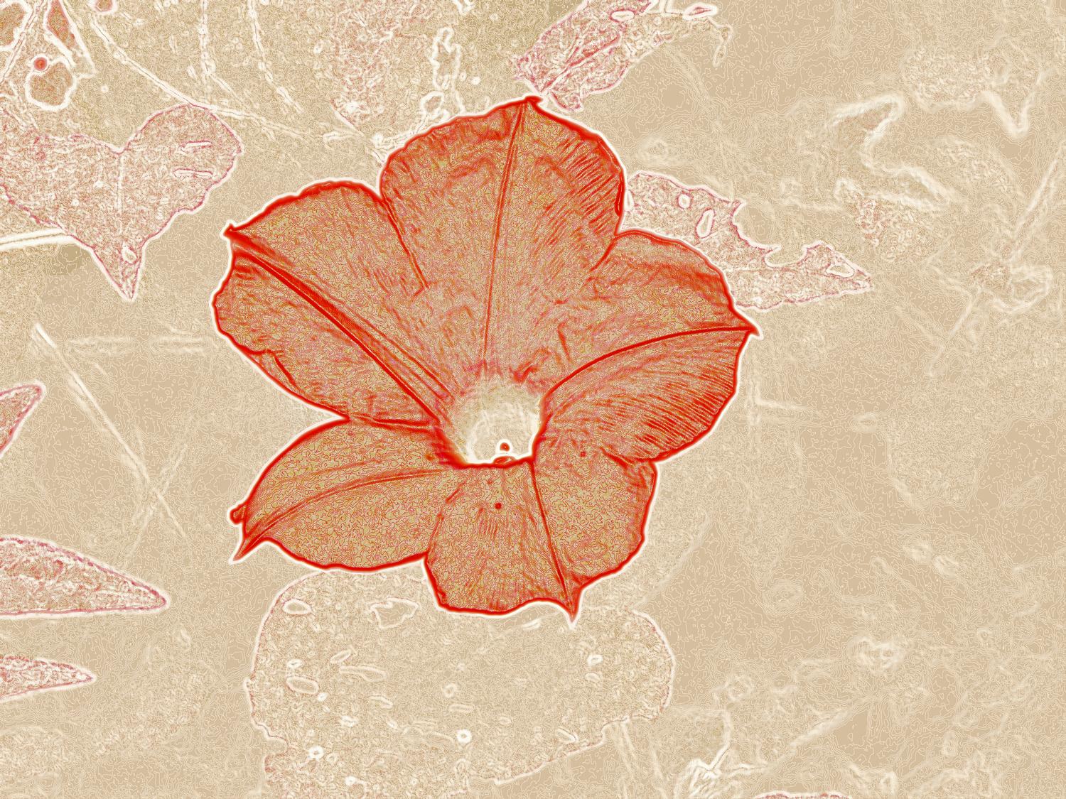  - Hobbitt's flower as a silkscreen print - Techno-Impressionist Museum - Techno-Impressionism - art - beautiful - photo photography picture - by Tony Karp