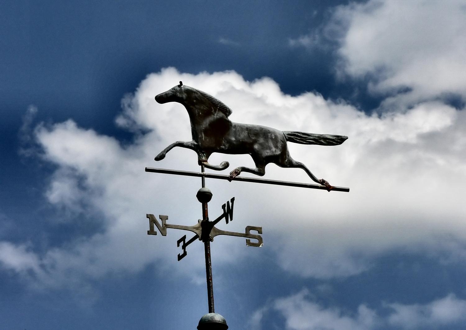  - Horse over my head - #1 - Techno-Impressionist Museum - Techno-Impressionism - art - beautiful - photo photography picture - by Tony Karp