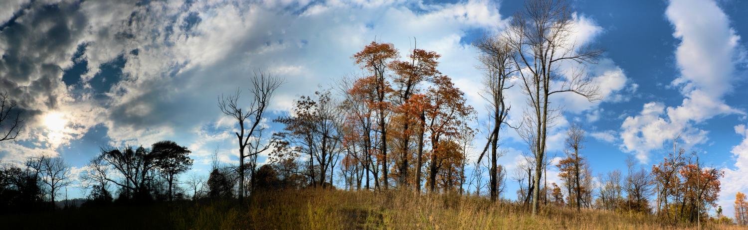  - Hilltop at Sky Meadows - Techno-Impressionist Museum - Techno-Impressionism - art - beautiful - photo photography picture - by Tony Karp
