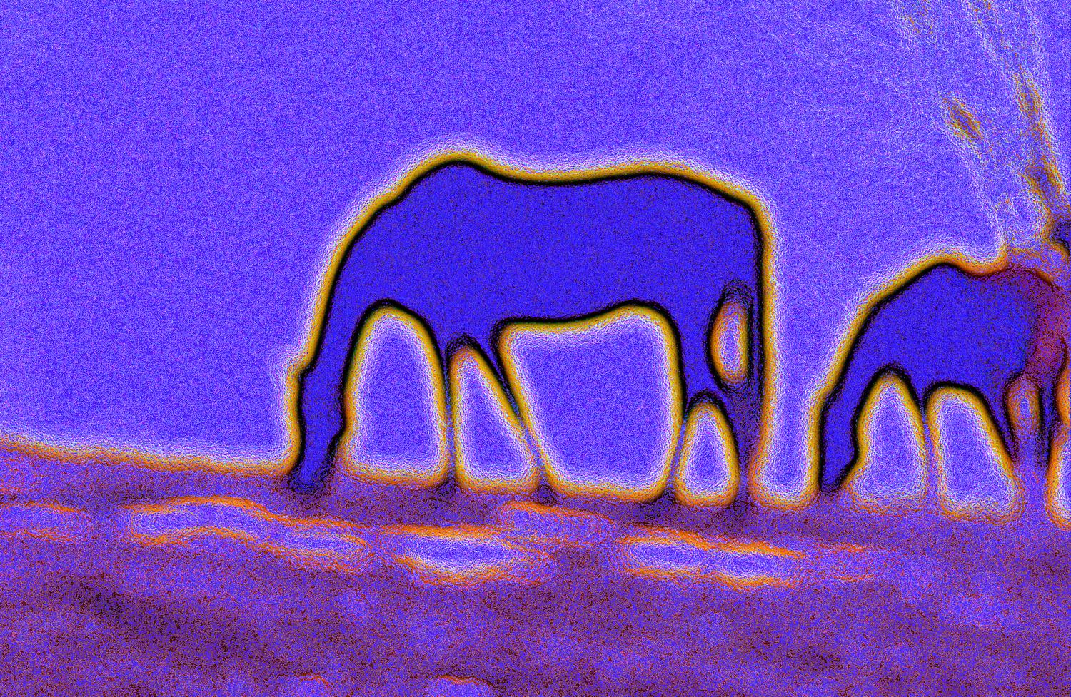 abstract picture of purple horses - Horses on Logmill Road - #1 - Techno-Impressionist Museum - Techno-Impressionism - art - beautiful - photo photography picture - by Tony Karp