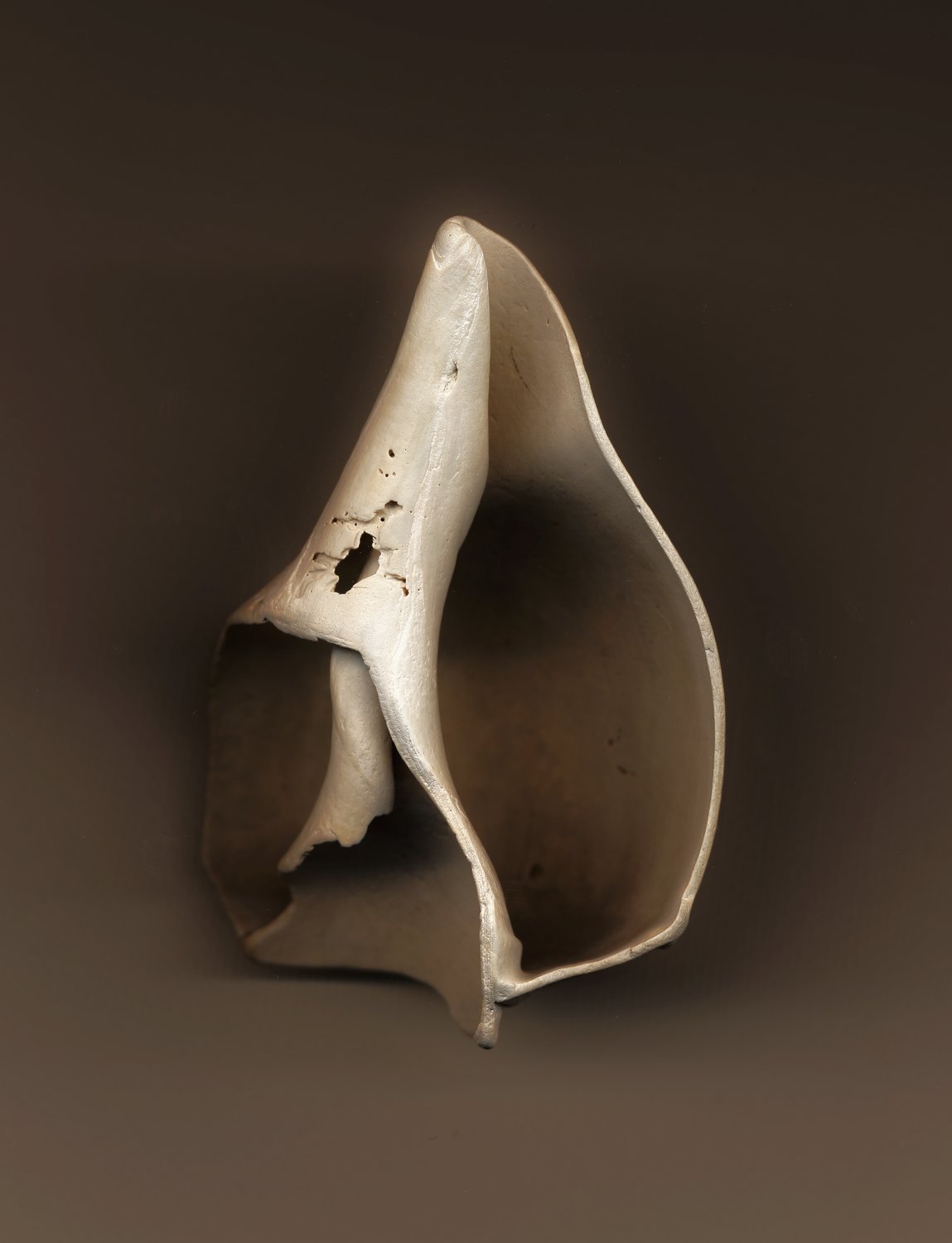  - Broken shell - Techno-Impressionist Museum - Techno-Impressionism - art - beautiful - photo photography picture - by Tony Karp