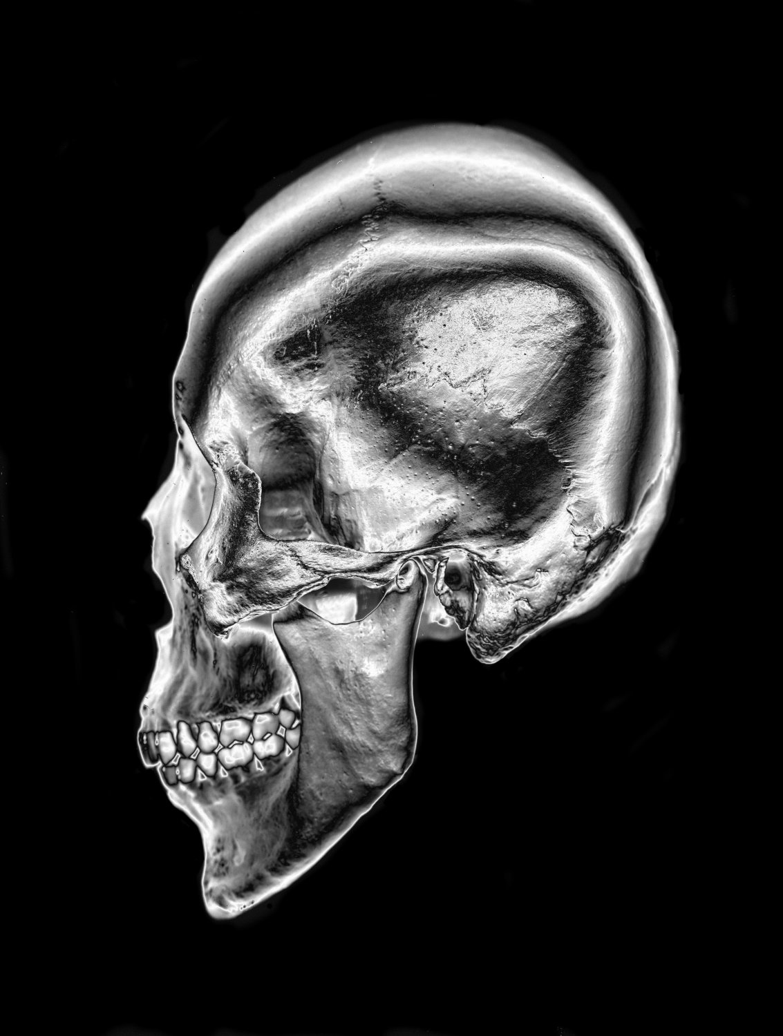  - Chrome skull - Techno-Impressionist Museum - Techno-Impressionism - art - beautiful - photo photography picture - by Tony Karp